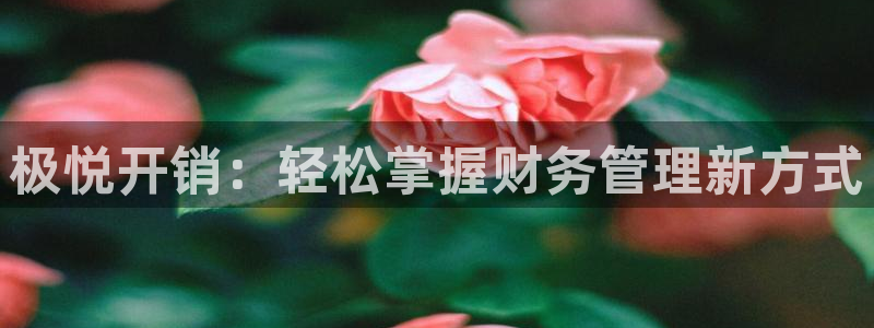bbin视讯注册网站app：极悦开销：轻松掌握财务管理新方式