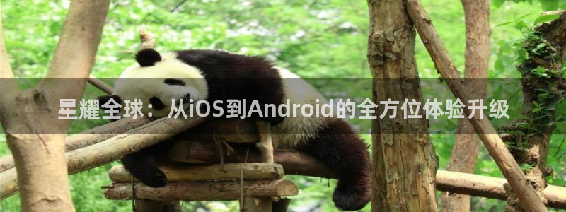 bbin视讯是大平台吗：星耀全球：从iOS到Android的全方位体验升级