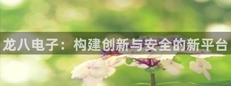 壹号大舞台下载链接：龙八电子：构建创新与安全的新平台