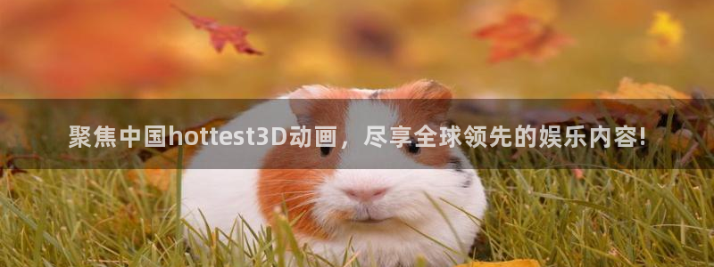 壹号平台娱乐：聚焦中国hottest3D动画，尽享全球领先的娱乐内容!