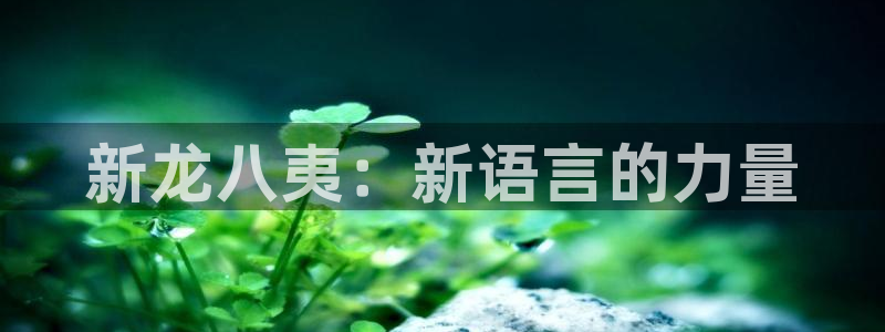 bbin视讯平台app下载：新龙八夷：新语言的力量