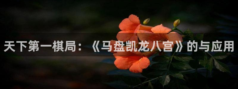 bbin视讯平台官网版最新：天下第一棋局：《马盘凯龙八宫》的与应用