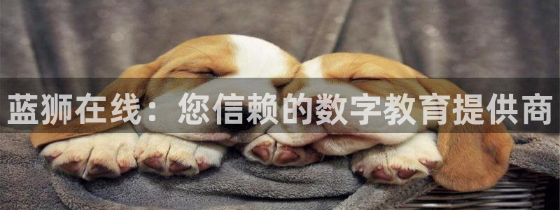bbin视讯平台app下载安装：蓝狮在线：您信赖的数字教育提供商