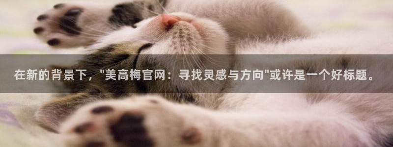 bbin视讯账号注册：在新的背景下，\