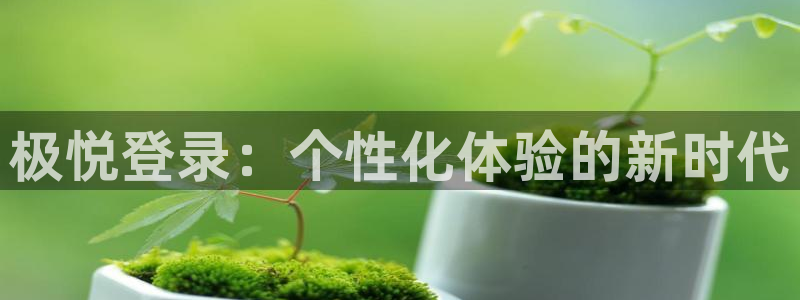 bbin视讯分红代理计划：极悦登录：个性化体验的新时代