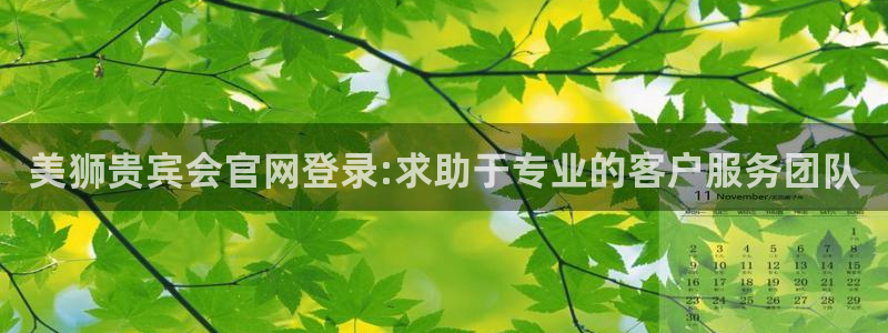 bbin视讯下载地址：美狮贵宾会官网登录:求助于专业的客户服务团队