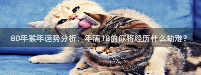 bbin视讯 - ng大舞台,有梦你就来：80年猴年运势分析：年满18的你将经历什么劫难？
