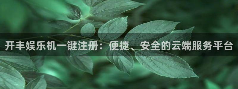 bbin视讯网站：开丰娱乐机一键注册：便捷、安全的云端服务平台