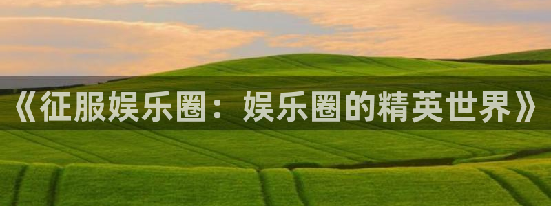 bbin视讯是大平台吗：《征服娱乐圈：娱乐圈的精英世界》