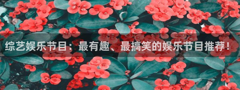 bbin视讯电子游戏官网：综艺娱乐节目：最有趣、最搞笑的娱乐节目推荐！