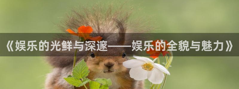 bbin视讯预测在线预测：《娱乐的光鲜与深邃——娱乐的全貌与魅力》