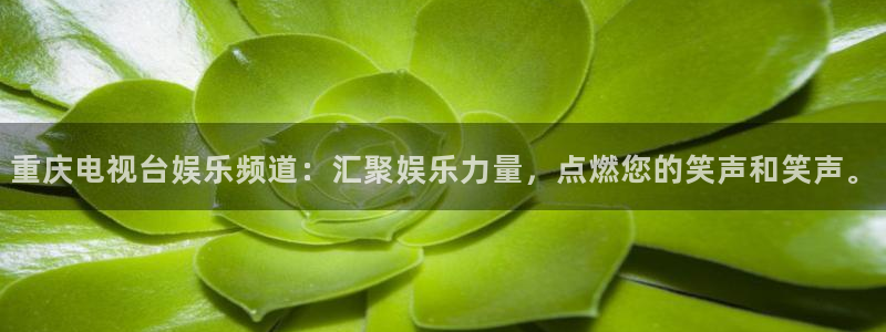 bbin视讯赏金女王：重庆电视台娱乐频道：汇聚娱乐力量，点燃您的笑声和笑声。