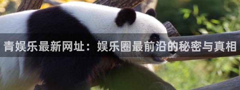 壹号app下载官网娱乐：青娱乐最新网址：娱乐圈最前沿的秘密与真相