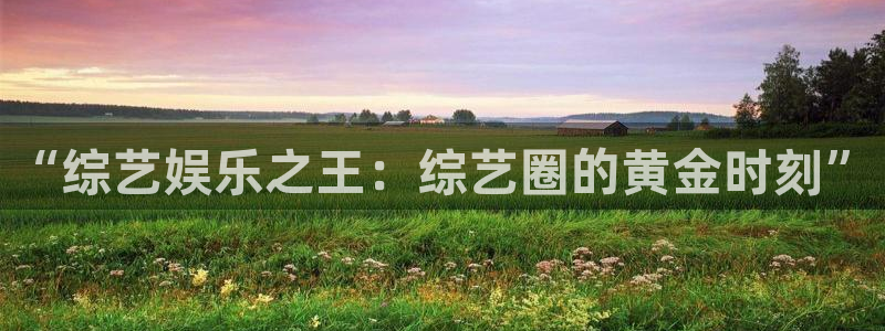 bbin视讯app官网：“综艺娱乐之王：综艺圈的黄金时刻”