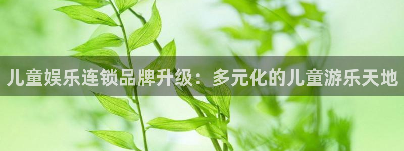bbin视讯软件：儿童娱乐连锁品牌升级：多元化的儿童游乐天地