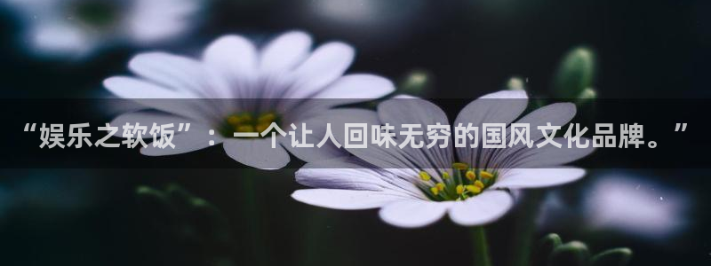 壹号大舞台娱乐传媒：“娱乐之软饭”：一个让人回味无穷的国风文化品牌。”