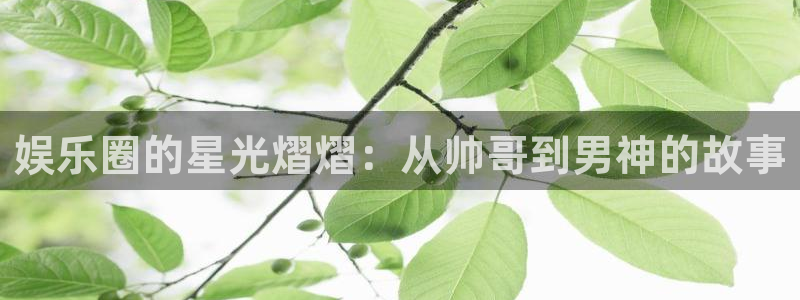 bbin视讯官网入口：娱乐圈的星光熠熠：从帅哥到男神的故事