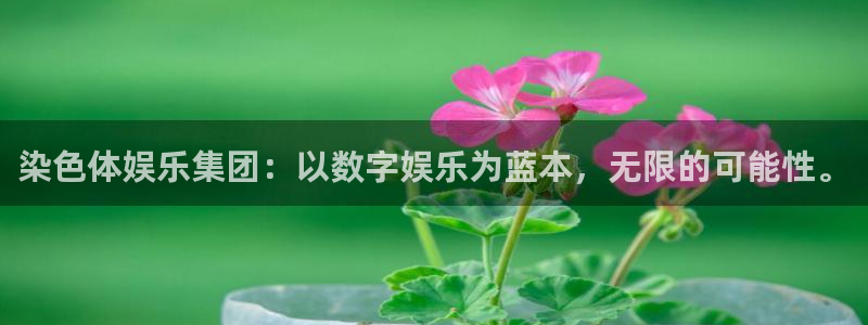 壹号app官网版下载：染色体娱乐集团：以数字娱乐为蓝本，无限的可能性。