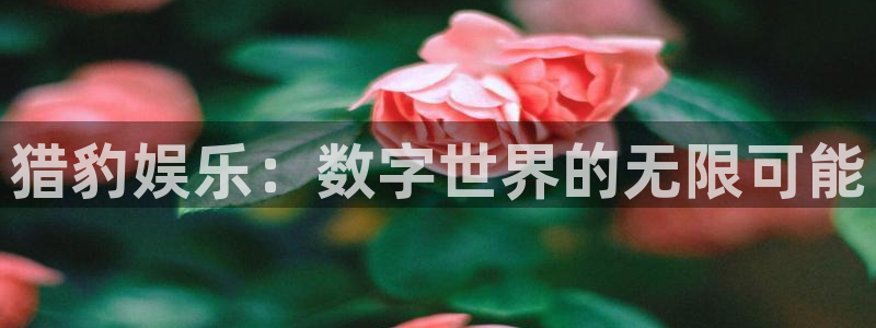 bbin视讯电子娱乐官网下载：猎豹娱乐：数字世界的无限可能